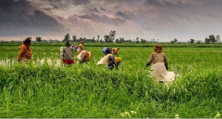 किसानों की आय बढ़ाने के लिए सरकार की कितनी योजनाएं, कितनी कारगर?