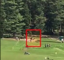 पहलगाम में हुए आतंकी हमले का लेटेस्ट VIDEO आया सामने, पर्यटक के कैमरे में कैद हुआ दिल दहलाने वाला मंजर