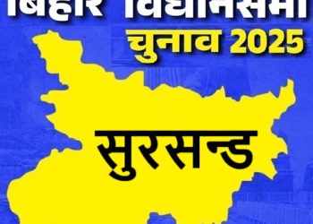 बिहार विधानसभा चुनाव 2025: सुरसन्ड सीट पर किसकी होगी जीत, जानें इस सीट का चुनावी इतिहास