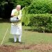 PM मोदी ने अपने आवास पर लगाया कदम्ब का पौधा, किंग चार्ल्स तृतीय ने दिया था गिफ्ट