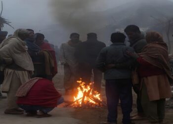 बिहार के पटना, गया सहित 26 जिलों में आज कोल्ड डे ,7 जिलों का तापमान 10 डिग्री से नीचे, 22 फ्लाइट्स डिले, तेजस-राजधानी 13 घंटे लेट………