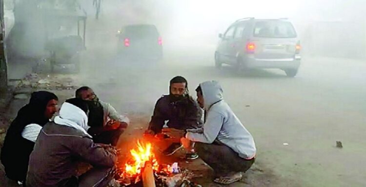 बिहार में घने कोहरे और भीषण ठंड का कहर जारी ,पूरे बिहार में कोल्ड-डे का अलर्ट
