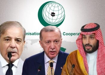 सऊदी अरब और पाकिस्तान के गठबंधन में तुर्किये की एंट्री!