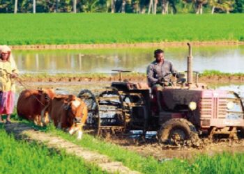 नई ऊंचाई पर ग्रामीण बाजार, अर्थव्यवस्था के लिए नई अहम भूमिका