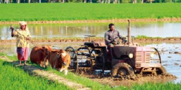 नई ऊंचाई पर ग्रामीण बाजार, अर्थव्यवस्था के लिए नई अहम भूमिका