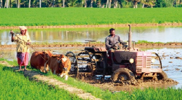 नई ऊंचाई पर ग्रामीण बाजार, अर्थव्यवस्था के लिए नई अहम भूमिका