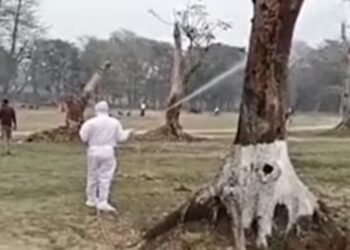 बिहार के भागलपुर जिले के नवगछिया इलाके में बर्ड फ्लू को लेकर अलर्ट जारी