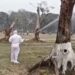 बिहार के भागलपुर जिले के नवगछिया इलाके में बर्ड फ्लू को लेकर अलर्ट जारी
