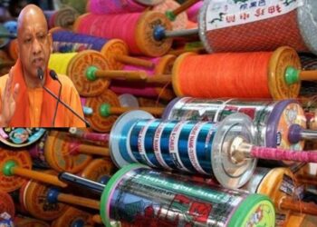 चाइनीज मांझे से मौत हुई तो मर्डर केस चलेगा………