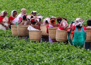 पीएम मोदी यूं ही नहीं पहुंच गए डिब्रूगढ़ के चाय बगानों में…………………