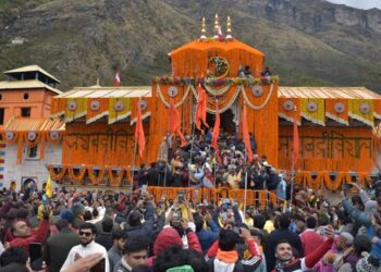 बर्फबारी घट रही और मक्खियां बढ़ी रही………….